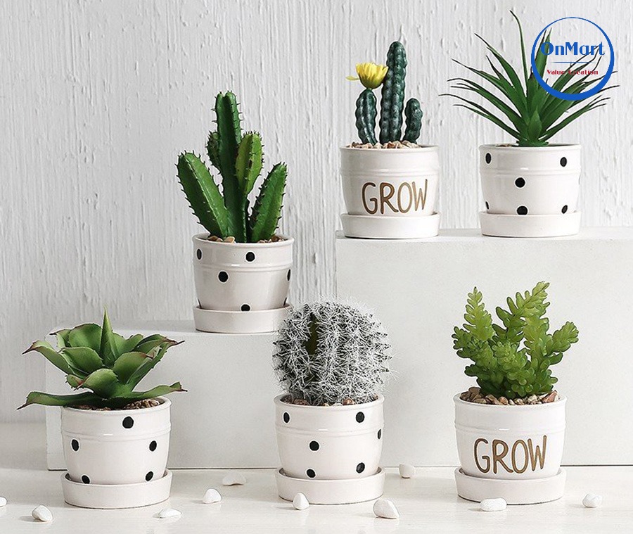 Con gái thích tặng quà gì nhất - chậu cây cảnh mini Con gái thích tặng quà gì nhất - chậu cây cảnh mini