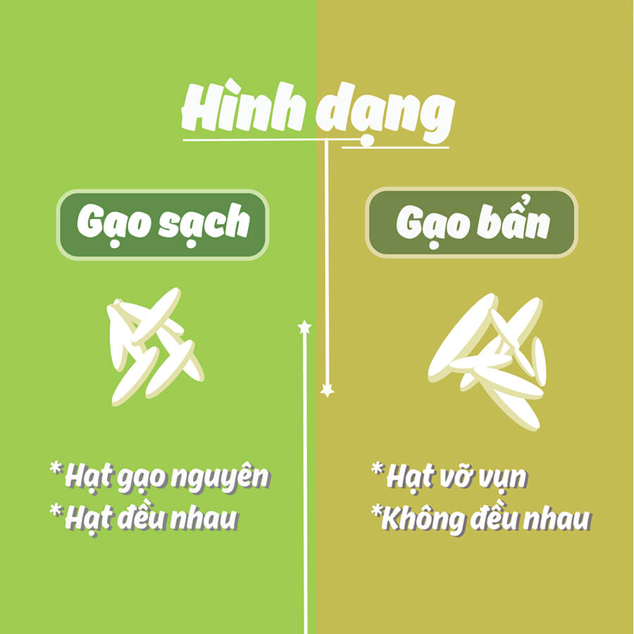 Cách phân biệt gạo sạch trên hình dạng