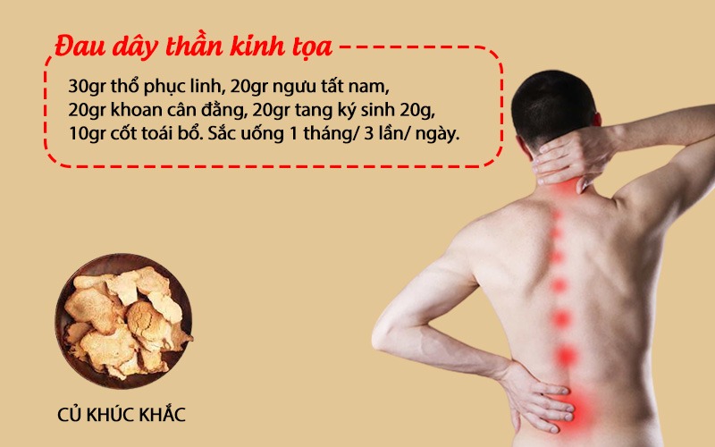 Củ khúc khắc chữa đau dây thần kinh tọa