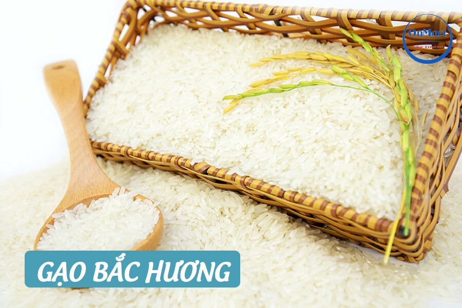 Gạo Bắc Hương là giống gạo ngon được người dân miền Bắc yêu thích Gạo Bắc Hương là giống gạo ngon được người dân miền Bắc yêu thích