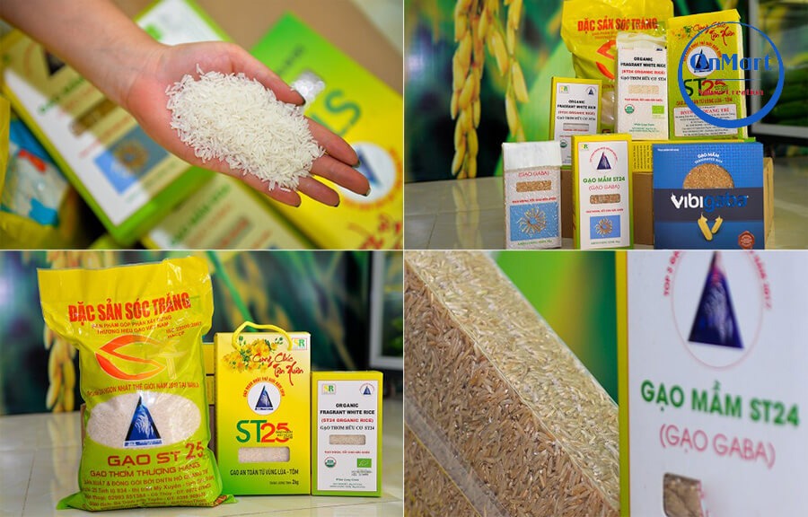Gạo ST25 có mấy loại, loại nào ngon nhất? Gạo ST25 có mấy loại, loại nào ngon nhất?