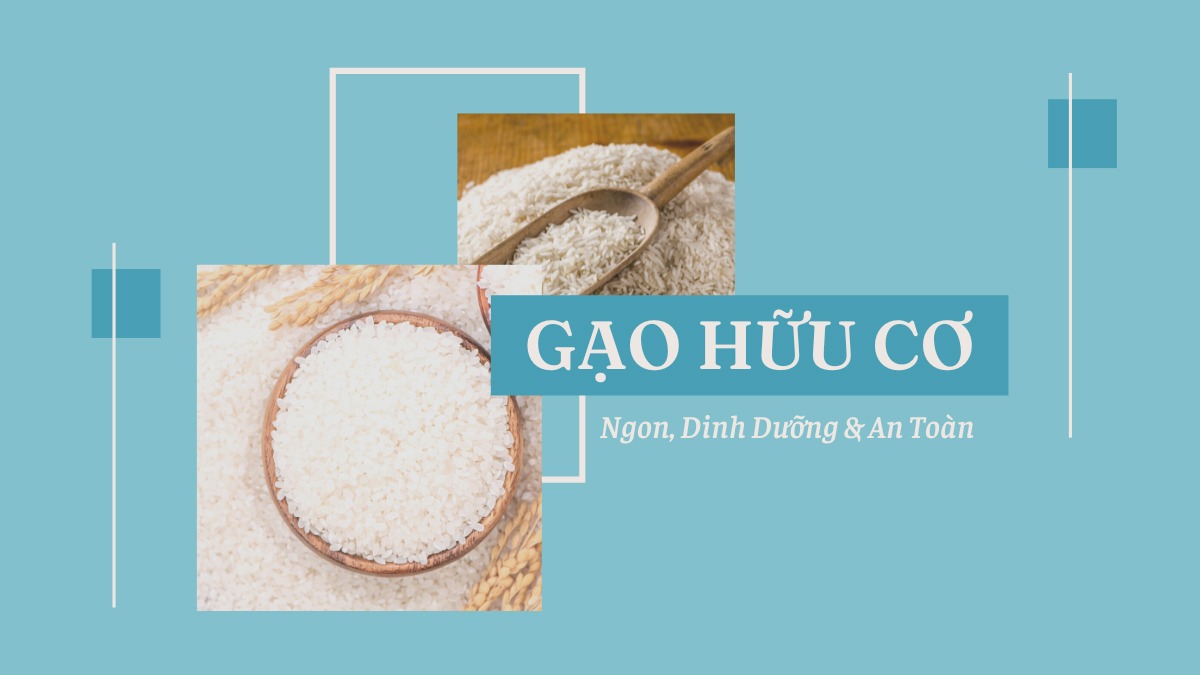 Gạo hữu cơ