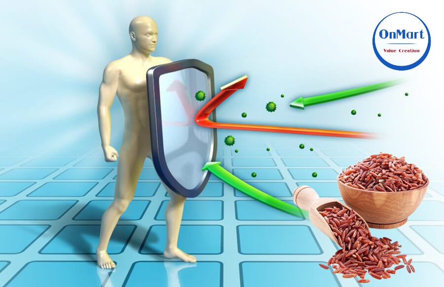 Gạo lứt có tác dụng gì trong việc tăng cường sức đề kháng Gạo lứt có tác dụng gì trong việc tăng cường sức đề kháng