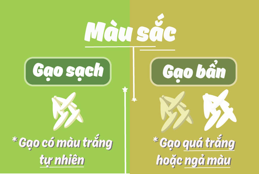 Nhận biệt gạo sạch an toàn dựa vào màu sắc