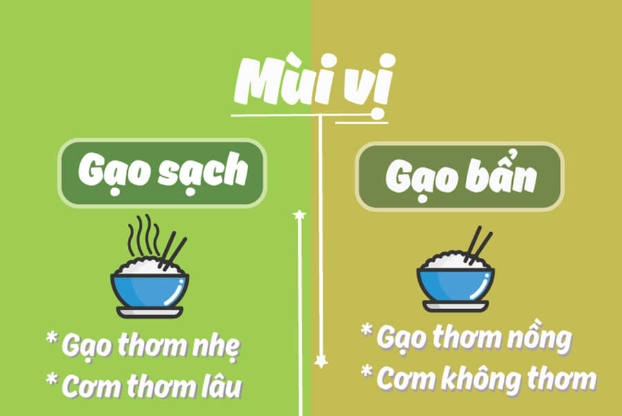 Phân biệt gạo sạch dựa vào mùi vị