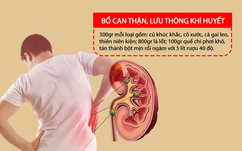 Thổ phục linh bổ thận can, lưu thông khí huyết