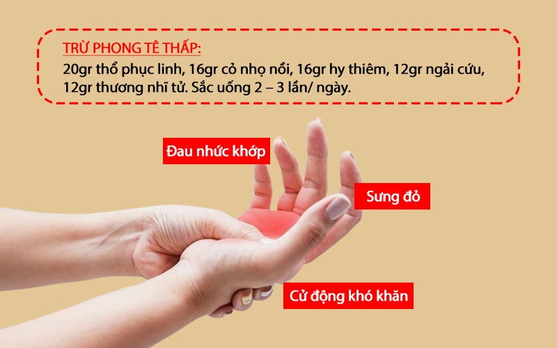 Thổ phục linh trừ phong tê thấp