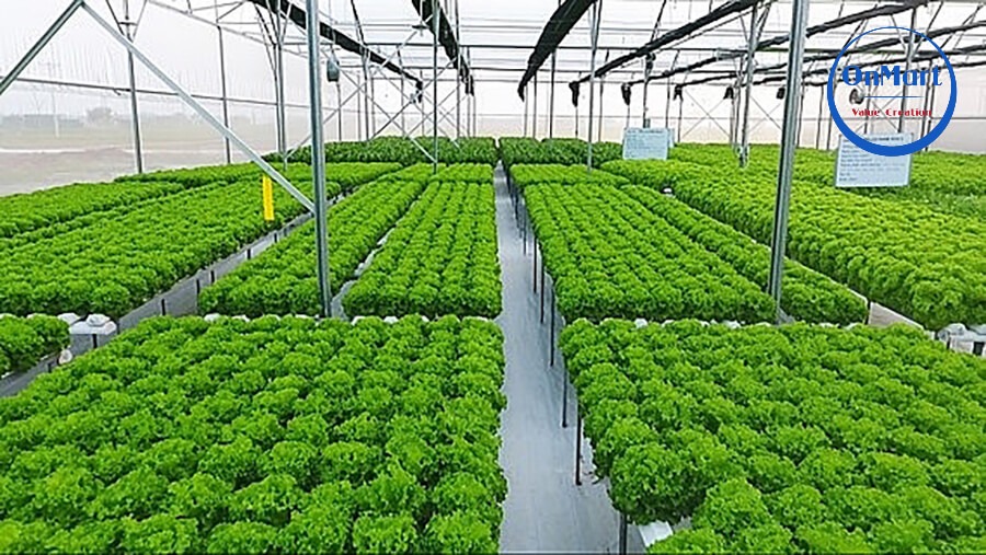 Farm công nghệ hiện đại