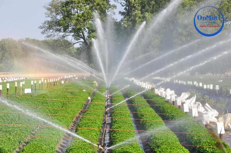 Hệ thống tưới phun mưa trong farm công nghệ