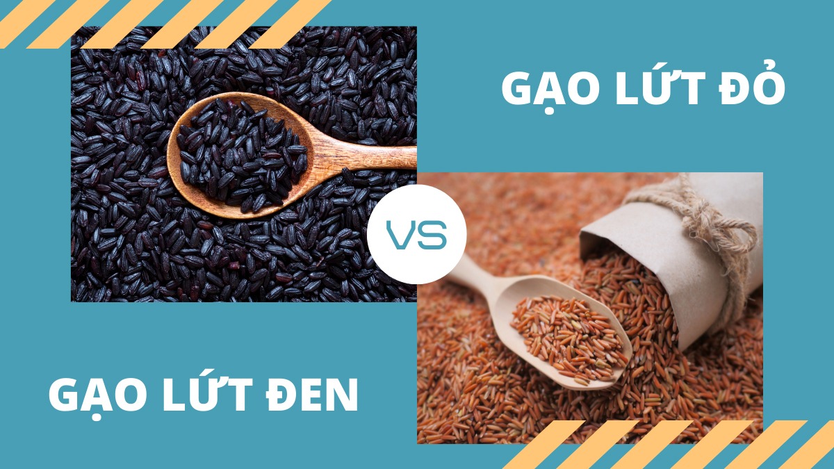 Nên ăn gạo lứt đen hay đỏ