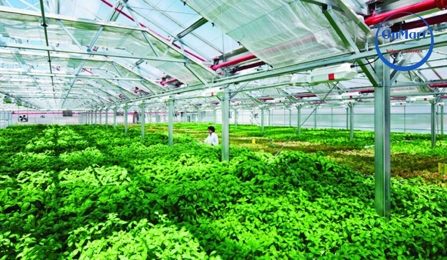 Nông nghiệp công nghệ cao mang lại hiệu quả kinh tế cao Nông nghiệp công nghệ cao mang lại hiệu quả kinh tế cao