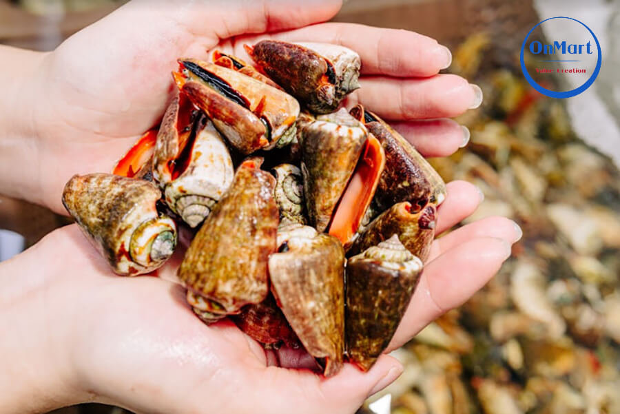 Ốc nhảy đỏ Ốc nhảy đỏ