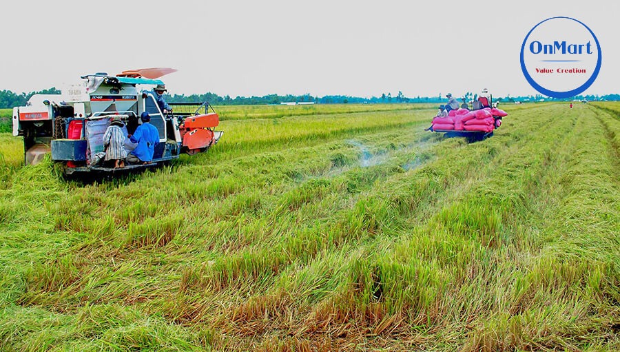 Ứng dụng công nghệ giúp tiết kiệm chi phí sản xuất nông nghiệp Ứng dụng công nghệ giúp tiết kiệm chi phí sản xuất nông nghiệp