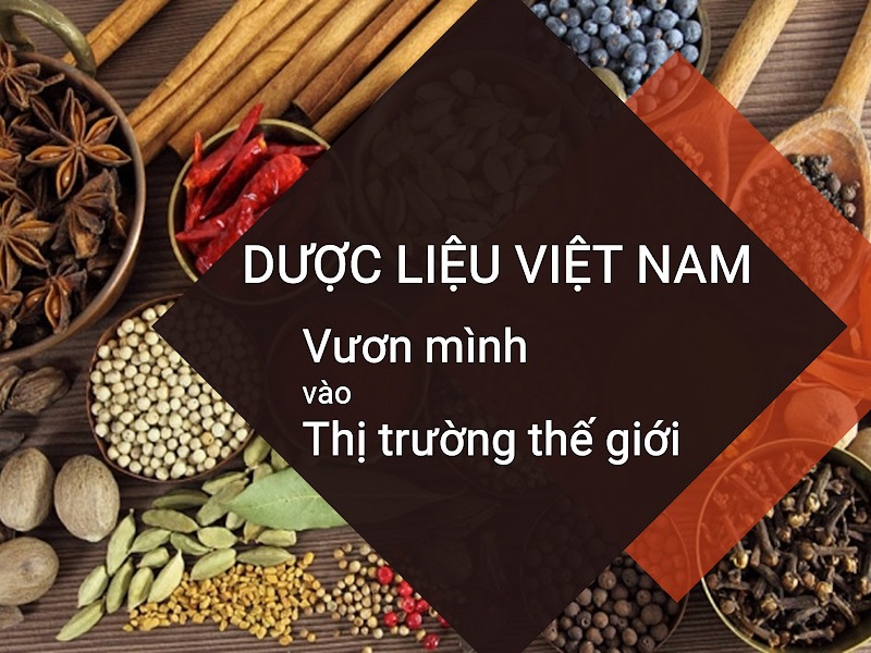 Dược liệu việt nam