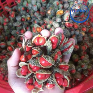 Hạt dổi Onmart