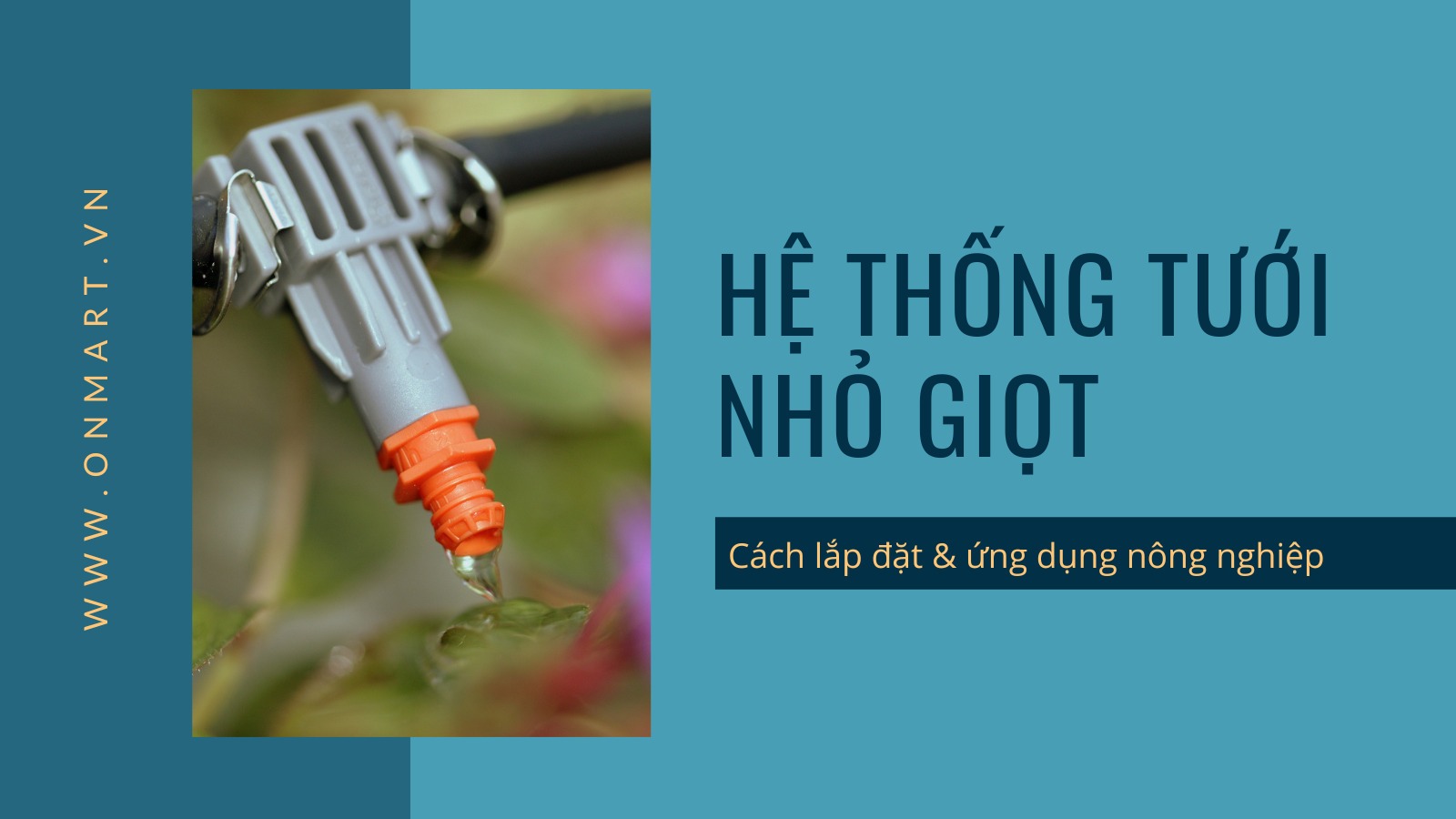 Hệ thống tưới nhỏ giọt