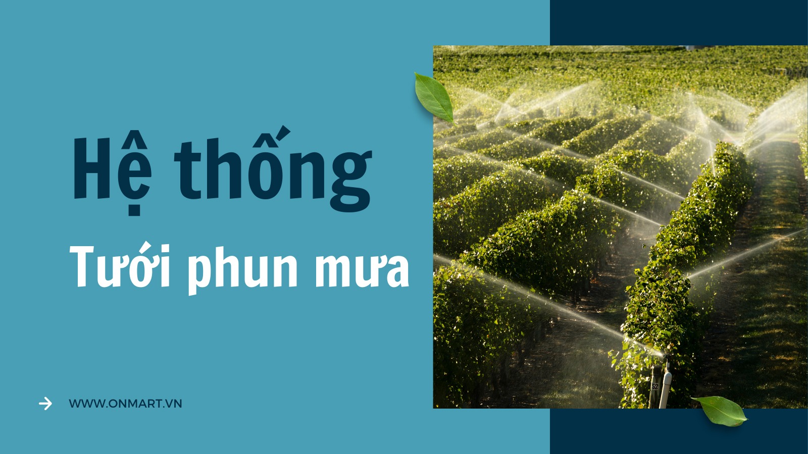 Hệ thống tưới nước phun mưa