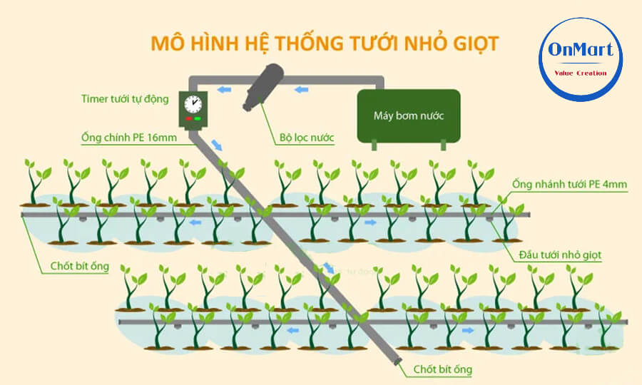 Sơ đồ hệ thống tưới nhỏ giọt Sơ đồ hệ thống tưới nhỏ giọt